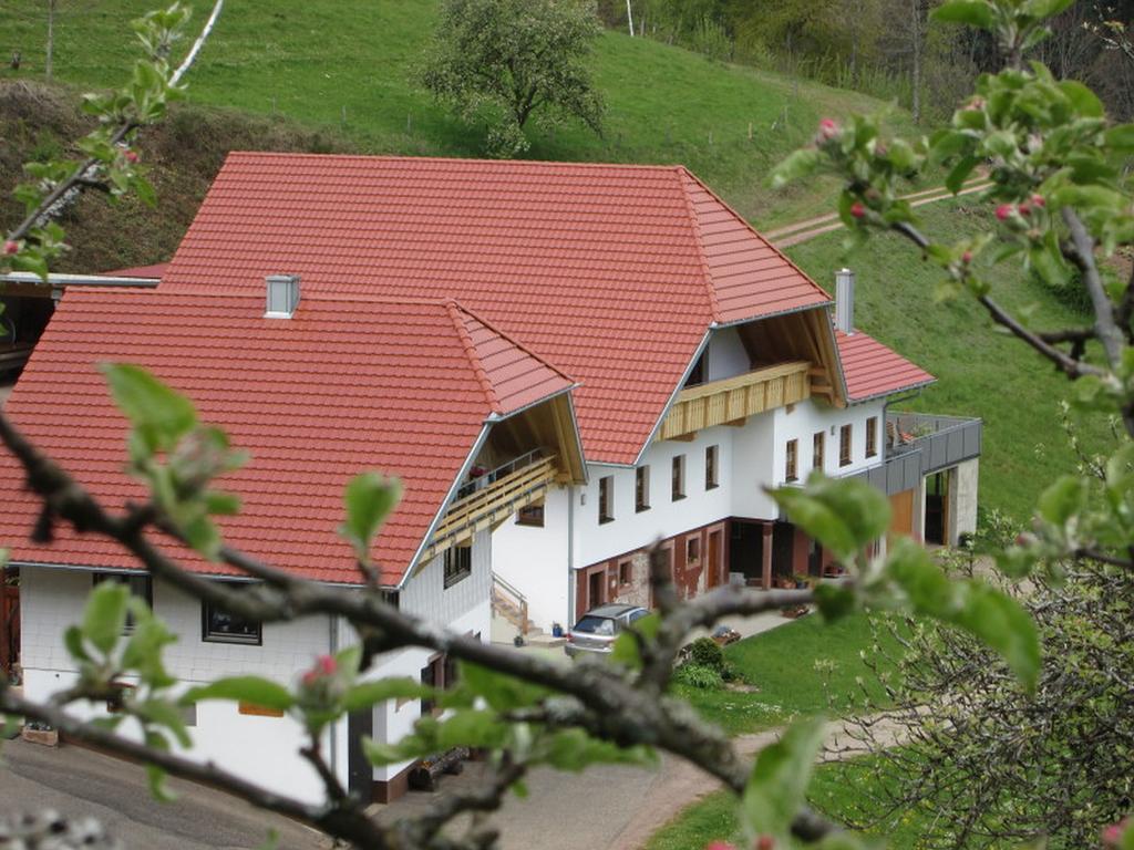 Stinneshof Oberharmersbach Dış mekan fotoğraf