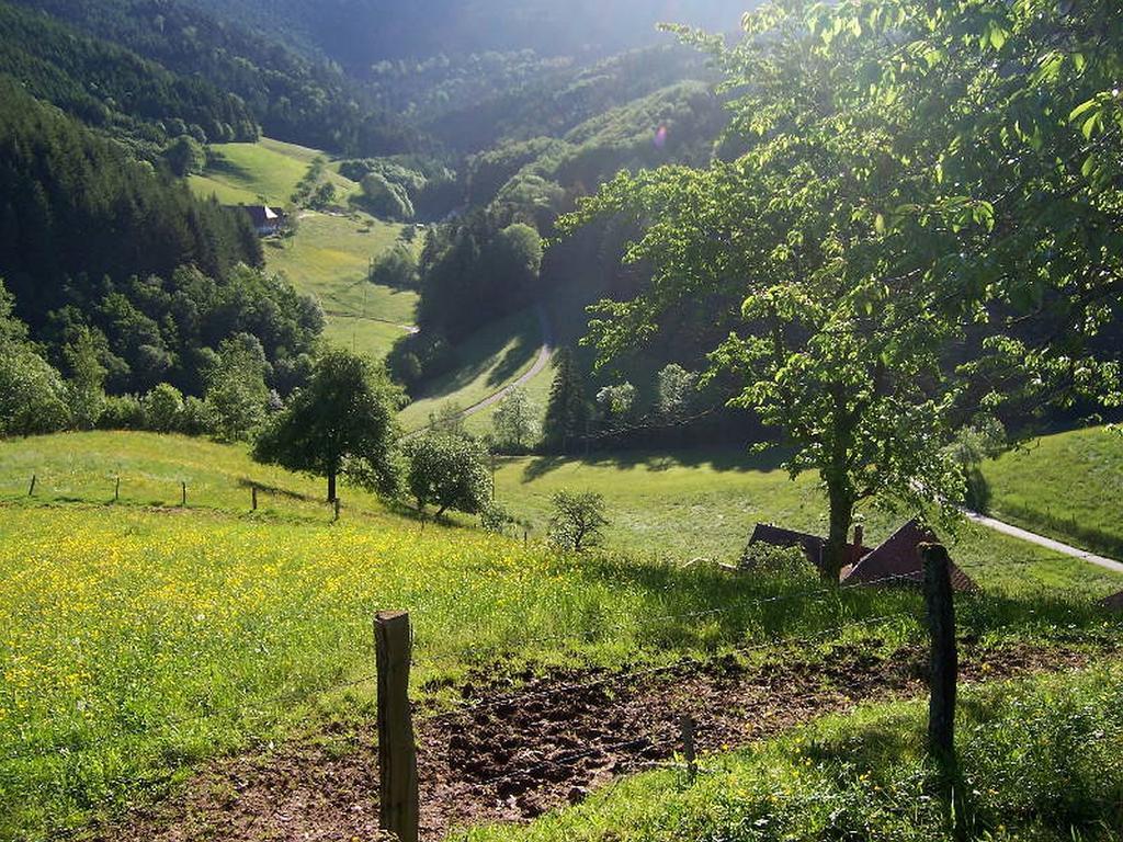 Stinneshof Oberharmersbach Dış mekan fotoğraf