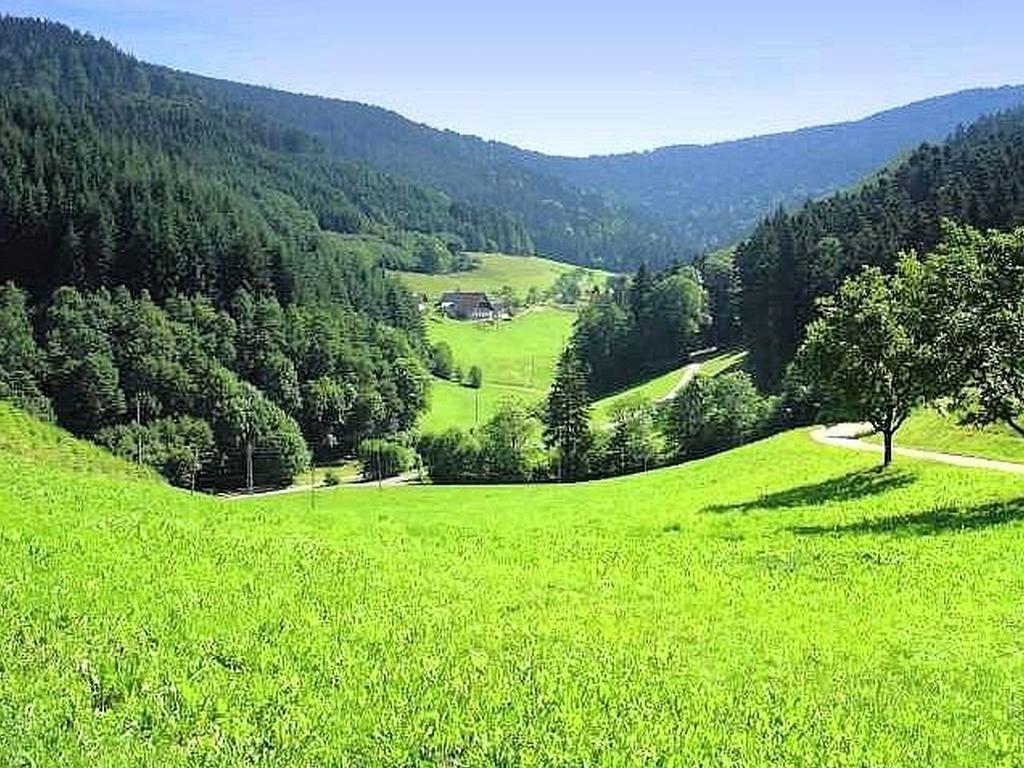 Stinneshof Oberharmersbach Dış mekan fotoğraf