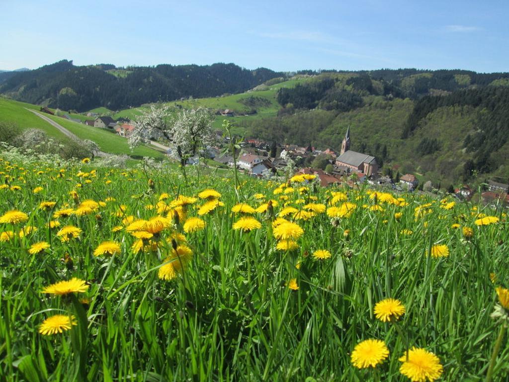 Stinneshof Oberharmersbach Dış mekan fotoğraf