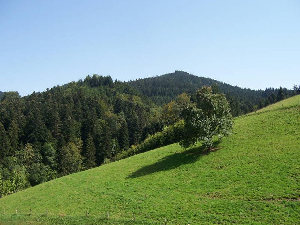 Stinneshof Oberharmersbach Dış mekan fotoğraf