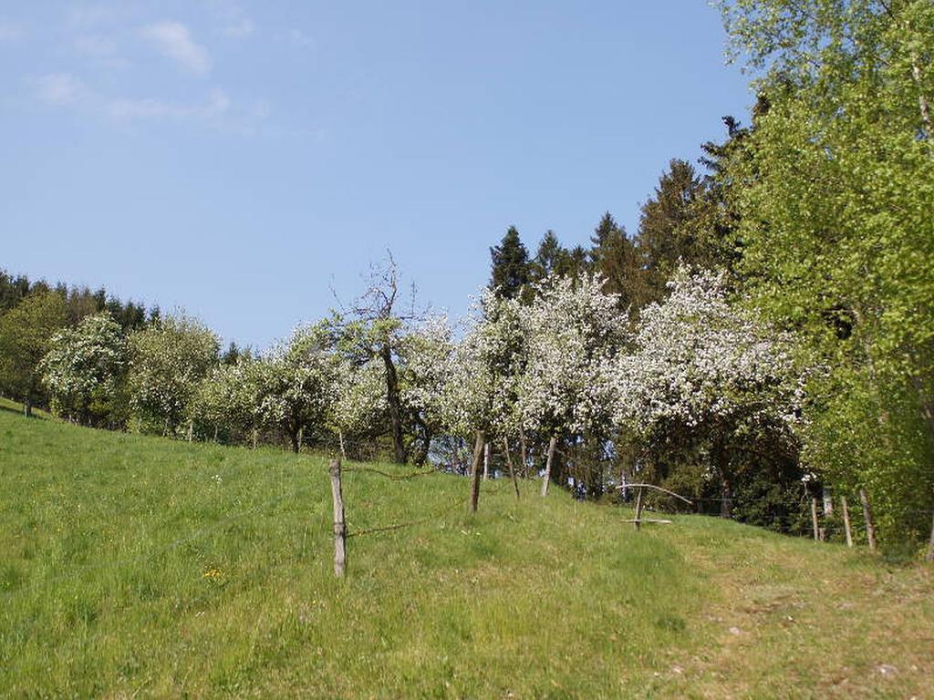 Stinneshof Oberharmersbach Dış mekan fotoğraf