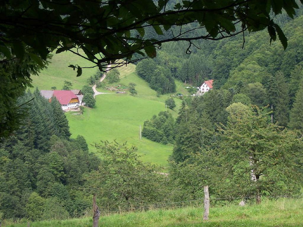 Stinneshof Oberharmersbach Dış mekan fotoğraf