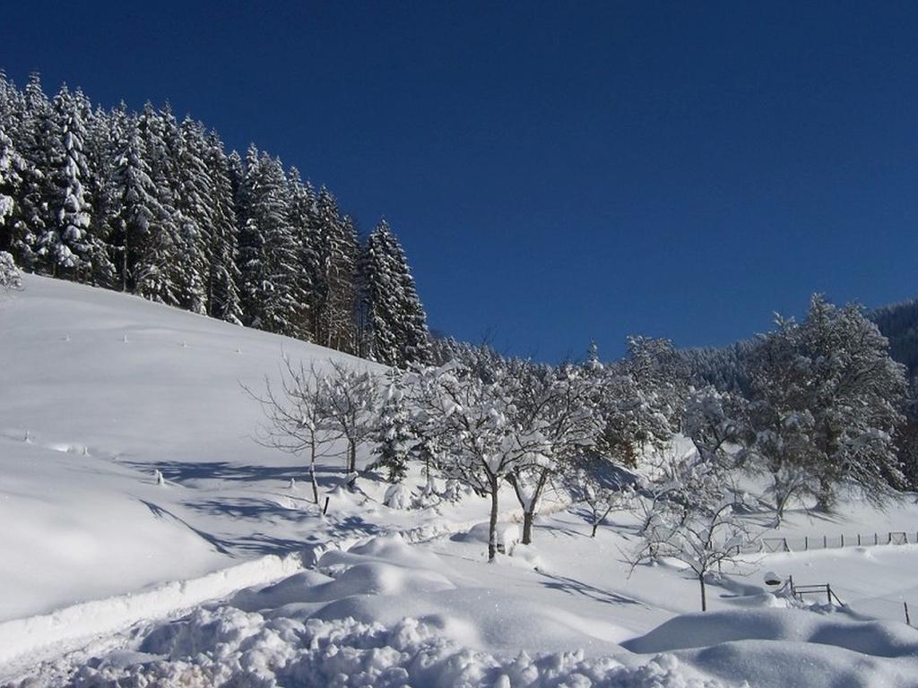 Stinneshof Oberharmersbach Dış mekan fotoğraf