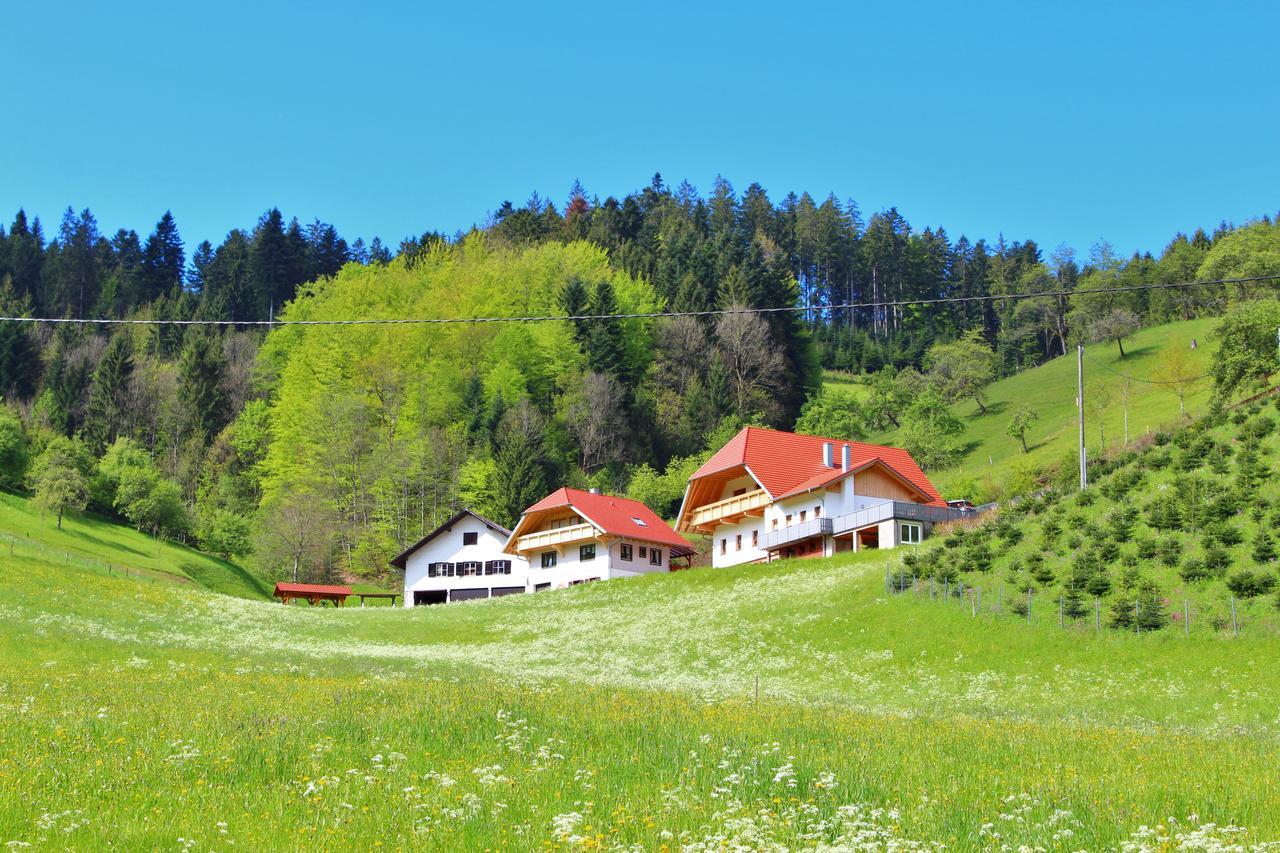 Stinneshof Oberharmersbach Dış mekan fotoğraf